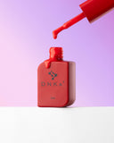 dnka top cover Amsterdam #0001