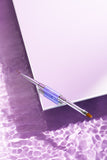 Dnka brush #006 gel and liner